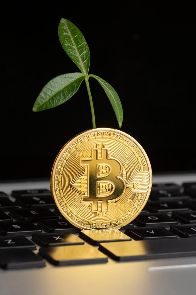 bitcoin top keyboard with plant (1)
